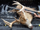 11/17/2009  Indiana buck