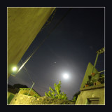 addicted to moonlight