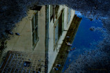 reflection