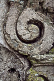 detail