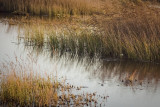 reflections