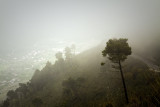 in the clouds