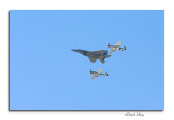 F-15 & P-51 Heritage Flight