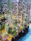 IMG_2269.jpg