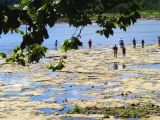 Fossil Beds on the Ohio in IN.jpg