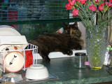 061 Settled into new spot 18 May 2004