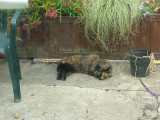 064 Far too hot! 12 June 2004