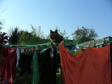084 20 Oct 2007