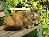 085 20 Oct 2007