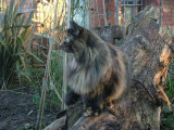 106 23 Jan 2005