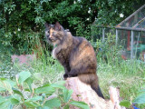 112 8 June 2006