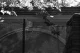 DSC_1218.jpg
