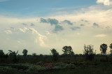 DSC_0667.jpg