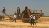 Hay Harvester