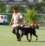 Barbados Kennel Club Dog Show