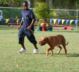 Barbados Kennel Club Dog Show