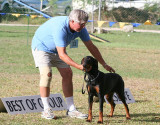 Barbados Kennel Club Dog Show