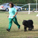 Barbados Kennel Club Dog Show