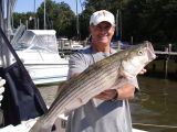 9/27/2006 - Dr Ray shows off a nice Striper caught light tackle live lining at the bridge after  jigging for Rock & Blues