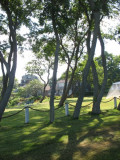 1191.jpg
