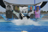 SeaWorld