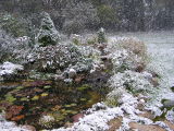 Pond10_12_06.jpg