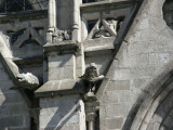 Unusual Gargoyles