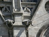 Unusual Gargoyles