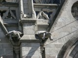 Unusual Gargoyles