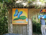 Butterfly place near Mindo