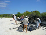 Beach with biting flies - ouch!