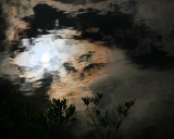 reflected sun