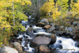 Clear Creek along Geneva Pass