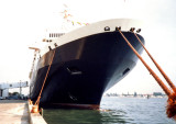 Noordam