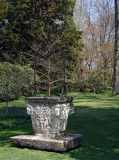 old well