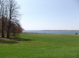 strolling the great lawn