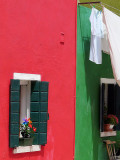 Burano- compo verde e rosso -1150783.jpg