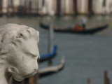 Lion de Venise -1160121.jpg