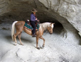 Cave Horses