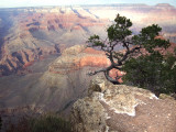 The Grand Canyon  USA