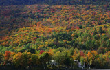 pbase Fall Foliage 2 Green Mountains 10042008_DSC2217.jpg