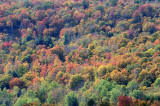 pbase fall in the Green Mountains 10 04 2008_DSC2232.jpg