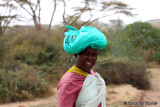 Masai Woman