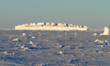 Colosseum iceberg in fast ice