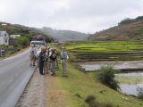 Birding stop on road to Perinet