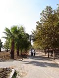 Istanbul Yesilkoy The Sea6.jpg