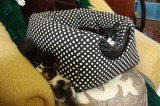 Cat mat and all Look where mama sleeps2.jpg