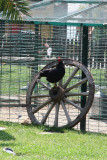 akyazi ve istanbul 041.jpg