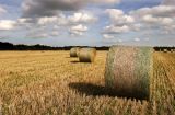 3 bales diagonal