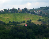 48 Tuscany-Chianti Vineyard.JPG